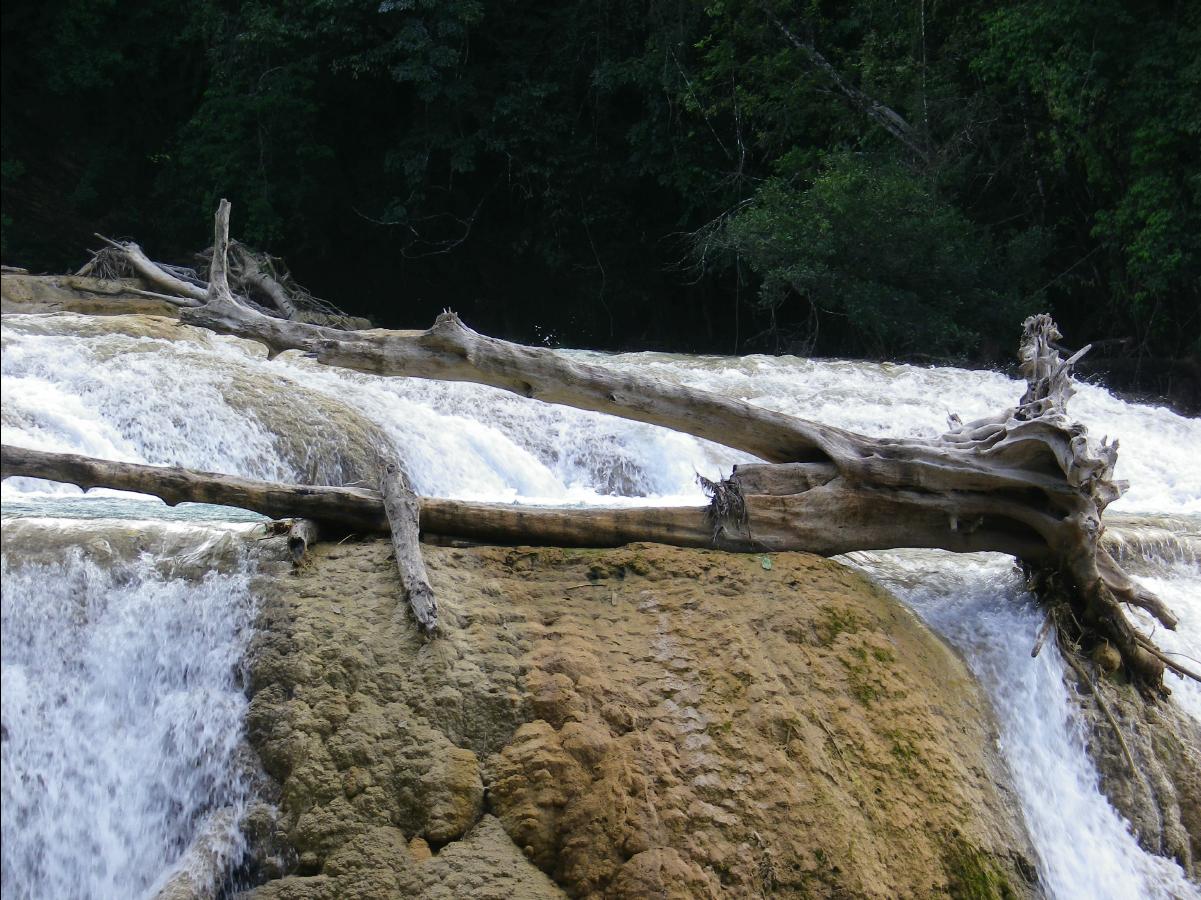 Agua Azul Waterfall30